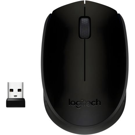 Компьютерная мышь Logitech M171 Black (910-00442)