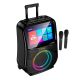 HOCO RGB outdoor karaoke акустика-караоке з двома мікрофоном і дисплеєм 800p DS71 |BT5.0, USB/AUX/TF, 60W, 3h, EQ| black