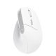 Мышь Trust Bayo 2 Ergonomic Wireless White (25398)