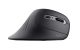 Мышь Trust Verro Ergonomic Wireless Mouse (23507) Мышь Trust Verro Ergonomic Wireless Mouse (23507)
