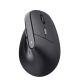 Мышь Trust Bayo 2 Ergonomic WL Black (25145) Мышь Trust Bayo 2 Ergonomic WL Black (25145)