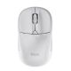 Мышь Trust Primo Wireless Mat White (24795) Мышь Trust Primo Wireless Mat White (24795)