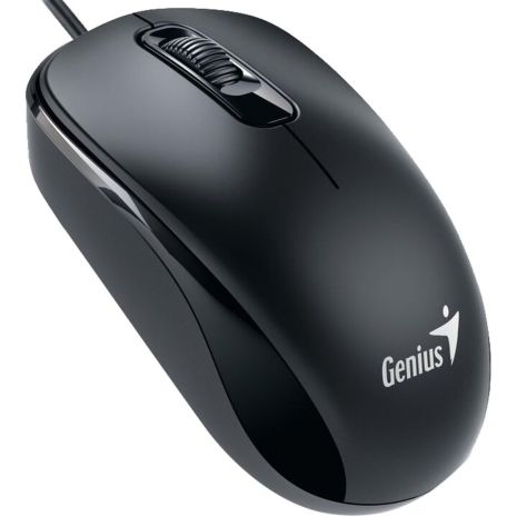 Мышь Genius DX-110 USB Black (31010116100)