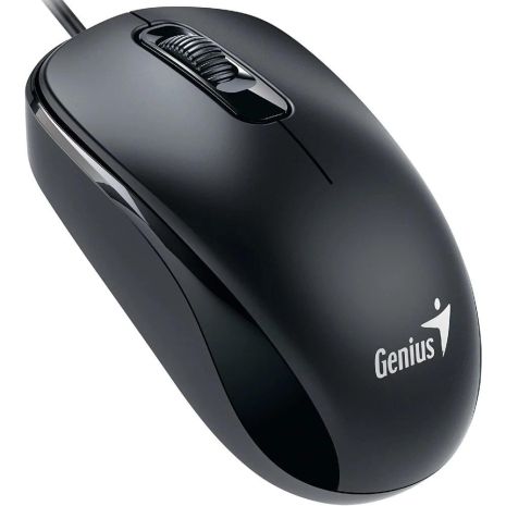 Мышь Genius DX-110 PS2 (31010116106)