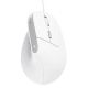 Мышь Trust Bayo 2 Ergonomic White (25397) Мышь Trust Bayo 2 Ergonomic White (25397)