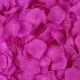 Лепестки роз искусственные, упаковка 1000шт, Purple Лепестки роз искусственные, упаковка 1000шт, Purple