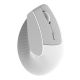 Мышь беспроводная Ajazz i300 White (i300-W) Мышь беспроводная Ajazz i300 White (i300-W)
