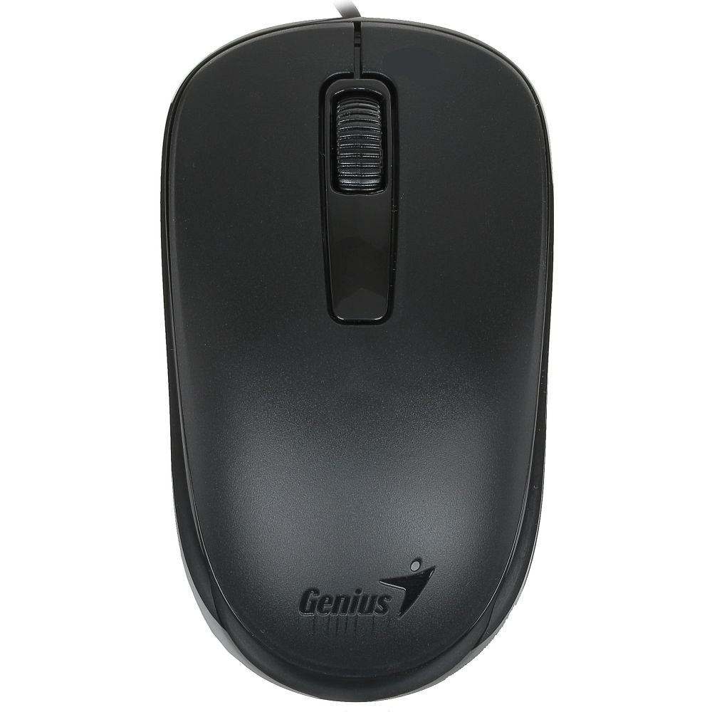 Мышь Genius DX-125 USB Black (31010106100) Мышь Genius DX-125 USB Black (31010106100)